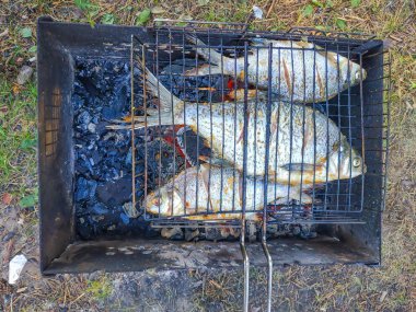 doğada pişirilen yemekler tavada patates kızartması
