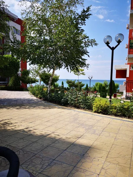 Arquitetura Dia Cidade Lâmpada Elétrica Footpath Crescimento Natureza Livre Planta — Fotografia de Stock