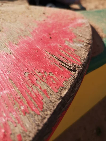 Sanat ve zanaat kabuk yakın çekim gün odak ön plan yüksek açı doğa açık havada model pembe renk bitki kırmızı göster