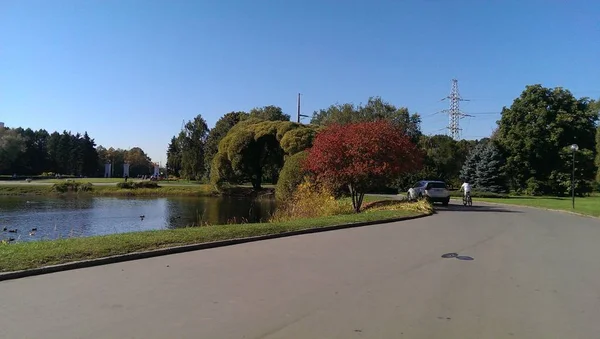 Gökyüzü tesisi ulaşım yol motorlu araç doğa araba modu açık gün kimse su kopya alanı açık havada kara ağaç