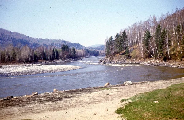 Ağaç su huzur bitki sakin sahne arazi bakış doğa güzellik dağ gün kentsel göl açık havada ormandaki