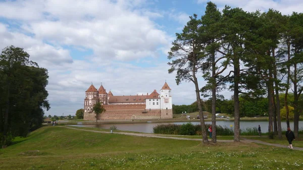 Posadź Drzewo Budynku Zewnętrzny Architektura Chmura Niebo Zbudowany Struktura Trawa — Zdjęcie stockowe