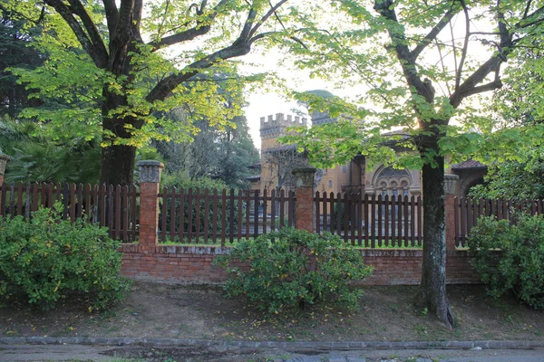 植物树自然生长日没有人建筑人行道门建成结构边界公园户外屏障围栏 — 图库照片