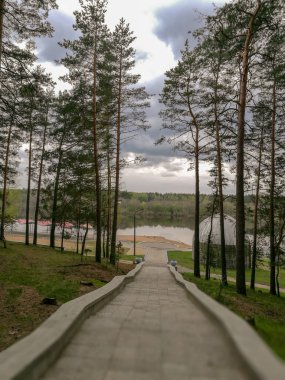 Yön ağaç bitki yol ileri doğa azalan perspektif bulut gökyüzü insanlar günü ulaşım huzur yok