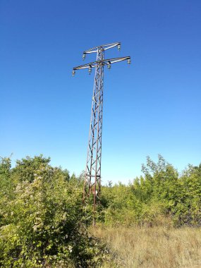 Clear sky bitki doğa gün mavi ağaç yok insanlar açık havada kara güneş ışığı büyüme teknoloji düşük açılı görünüş yeşil renk