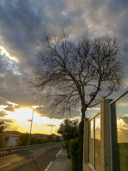 Cielo Nuboso Planta Carretera Naturaleza Transporte Personas Calle Árbol Desnudo —  Fotos de Stock