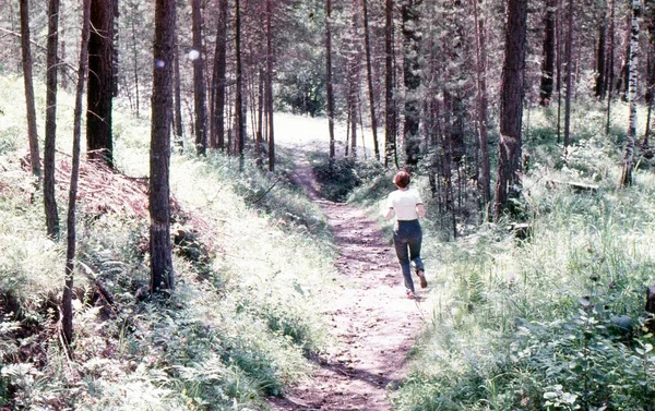 Pokaż Drzewo Roślina Lasu Ziemi Jeden Osoba Woodland Pnia Pełnej — Zdjęcie stockowe