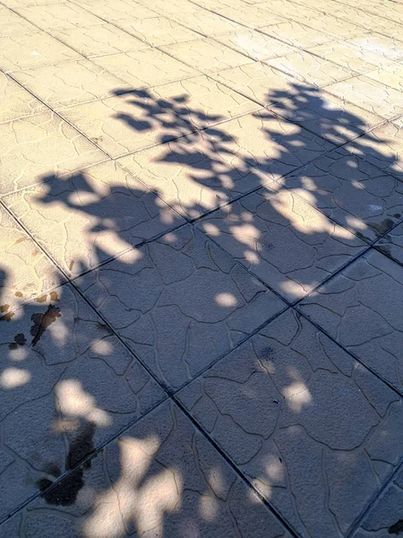 Güneş ışığı yüksek açı açık havada patika belediye arazisi tam çerçeve sokak gölge insanlar gün desen odak yok doğa görüntülemek