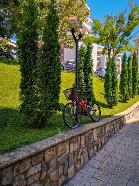 Bitki ağaç Bisiklet mimari ulaşım bina dış yapısı patika doğa gün modu arazi aracı inşa
