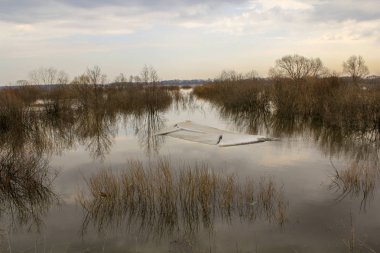 Huzur Gölü bitki gökyüzü sakin sahne güzellik doğa yansıma bakış bulut ağaç yok insanlar kentsel su