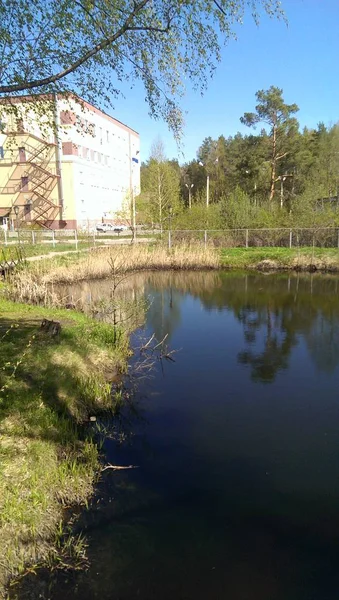 Завод Воды Архитектура Дерево Построено Структуры Природа Здания Внешнее Отражение — стоковое фото