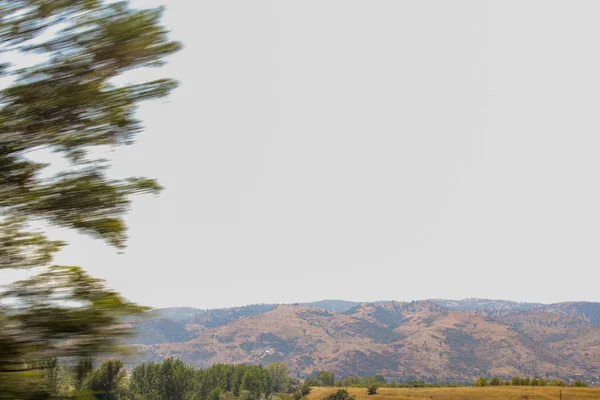 Ağaç huzur gökyüzü güzellik yok insanlar sakin sahne bakış kopya alanı çevre günü arazi manzara doğada bitki