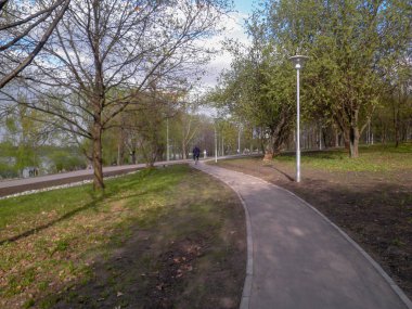 Yol ileri yön arızi insanlar yol ulaşım patika büyüme açık havada ağaç bitki doğa gün