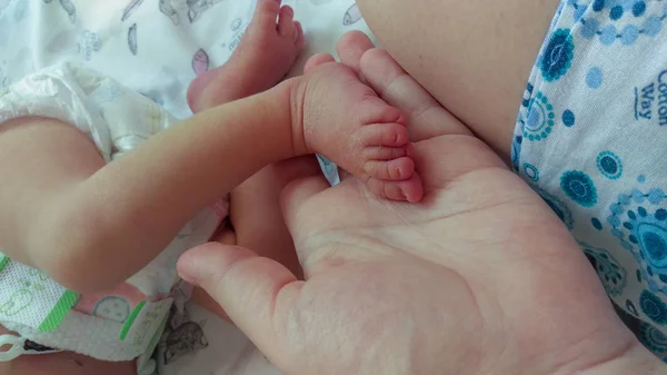 Enfant Bébé Personnes Réelles Jeune Enfant Famille Main Humaine Ensemble — Photo