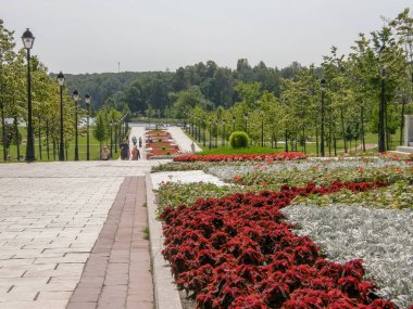 Ağaç güzellik gökyüzü park huzur kimse kırmızı yeşil renk doğa patika çiçek büyüme çiçeklenme gün içinde bitki