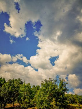gökyüzü ağaç bitki bulut güzellik doğa büyüme huzur gün düşük açılı görüntülemek yok insanlar sakin sahne bakış açık havada 