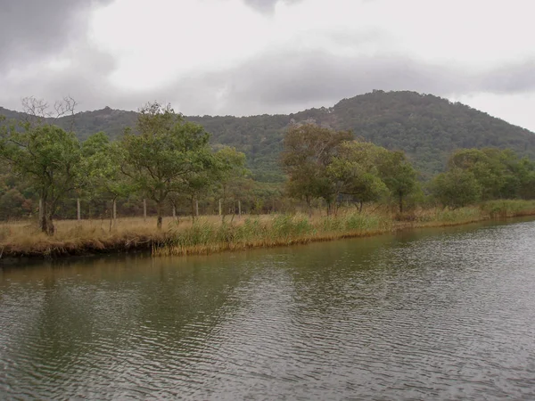 Colinas Bajas Cubiertas Árboles Verdes Orilla Opuesta Del Lago — Foto de Stock