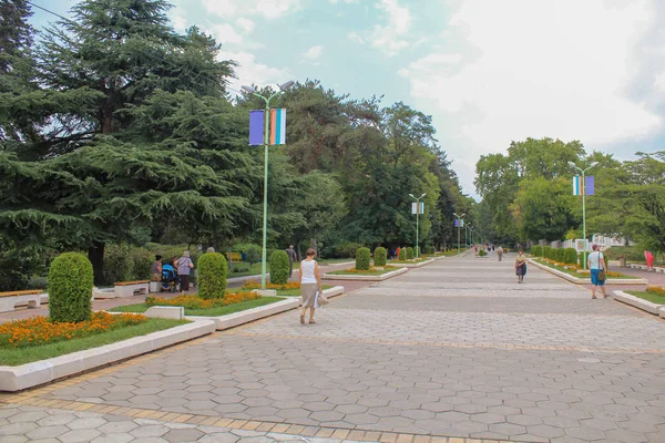 Stadspark Zomer Met Mozaïek Tegels Stoep Verschillende Groene Bomen Keurig — Stockfoto