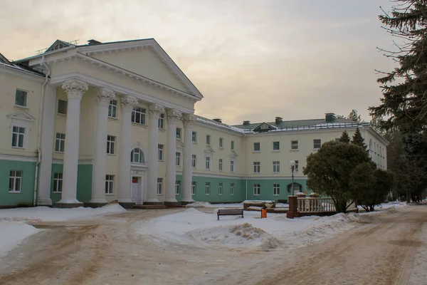 Трехэтажное Каменное Бело Зеленое Здание Колоннами Против Серого Неба Снега — стоковое фото