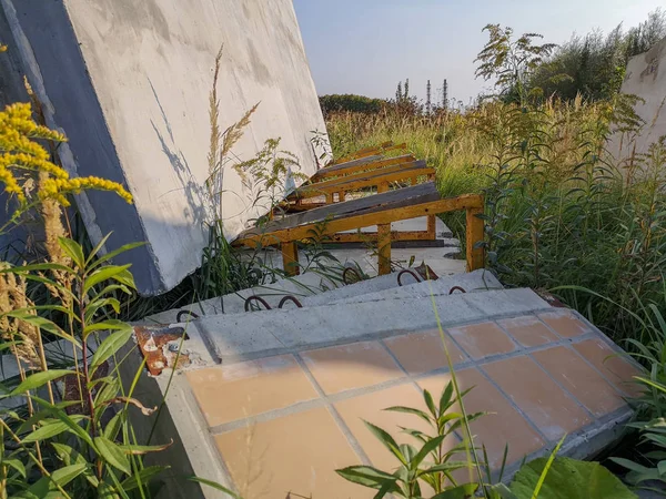 Yerde yatan ve yüksek sonbahar çimleri sararma arasında bir stand üzerinde duran beton tabaka