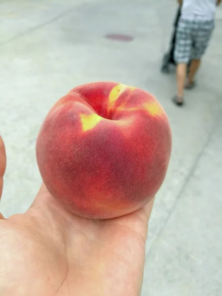 Büyük Olgun kırmızı olgun şeftali elinde yatıyor