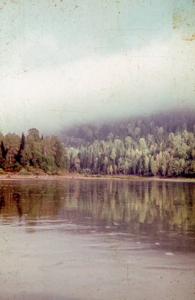 나무가 반사된 호수의 오래된 사진과 위에서 들어오는 — 스톡 사진