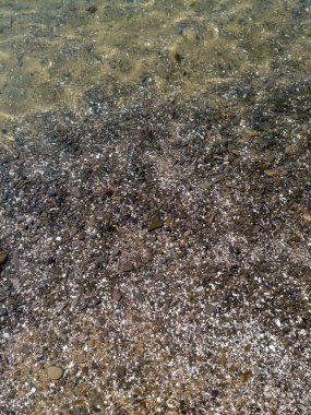 Berrak suda parlayan güneş ışınları küçük çakıl taşlarını ve Altın kumları yıkar.