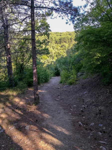 Estrecho Sendero Rocoso Que Baja Por Colina Hasta Las Profundidades —  Fotos de Stock