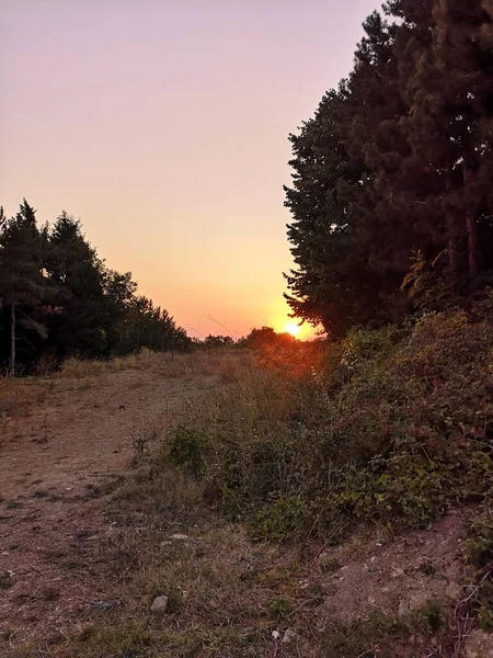 Güneşin Kırmızı Kenarı Ağaçlarla Çevrili Alçak Bir Tepenin Ardında Batıyor — Stok fotoğraf