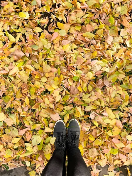 Imagem conceitual de pernas em botas nas folhas de outono — Fotografia de Stock