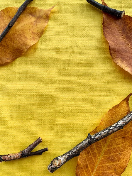 Folhas de outono em um fundo de papel amarelo. Foto de alta qualidade — Fotografia de Stock