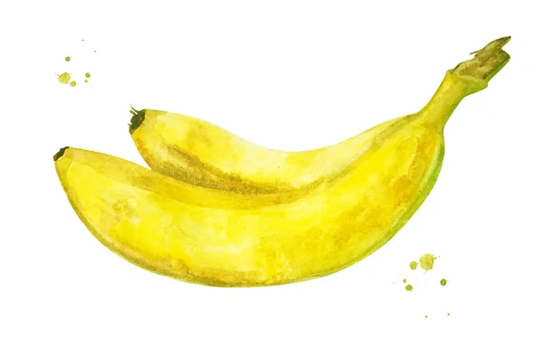 Due banane gialle con spruzzi di acquerello. Cibo sano . — Foto Stock