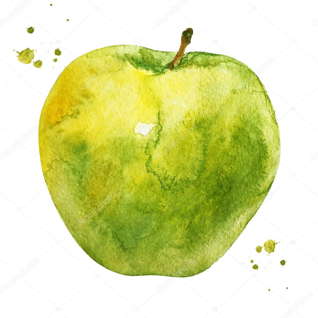 Green apple with branch and watercolor splash. hand drawn style watercolor design illustration