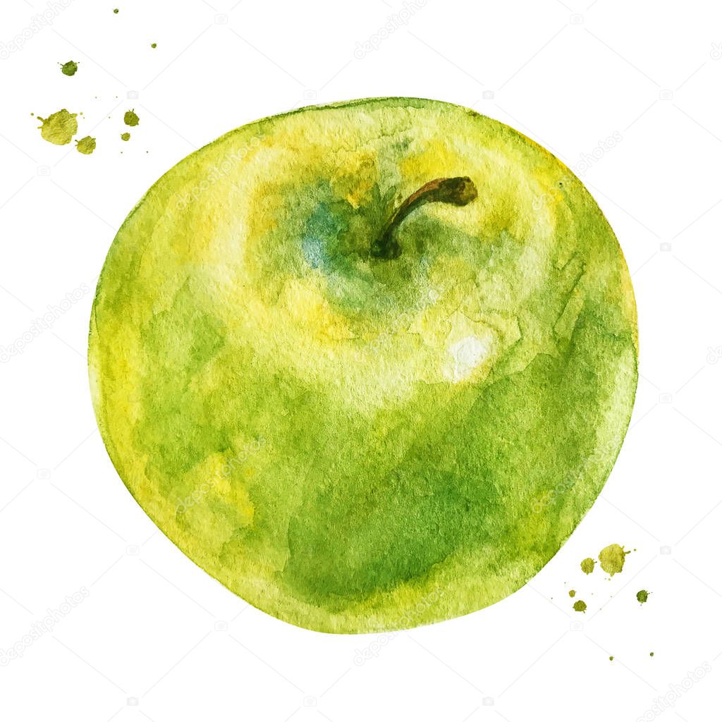 Green apple with branch and watercolor splash. hand drawn style watercolor design illustration