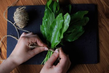 Taze organik doru, yeşil sebze çorbası ve salata için ahşap masada ıspanak tohumu. Çiğ kuş, yeşil sebze arka planını terk eder. Bahar yeşili sebzeler - doru ıspanak