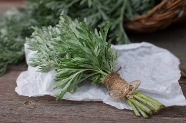 Bir demet taze mugwort (Artemisia absinthium, absinthe, absinthium, sagebrush, mugwort). İlaç fabrikası.