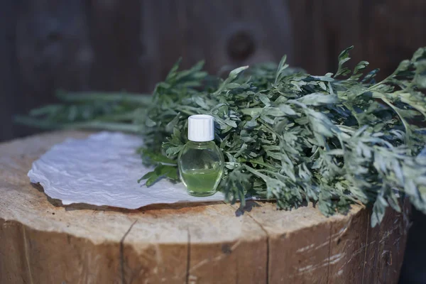 Bir demet taze mugwort (Artemisia absinthium, absinthe, absinthium, sagebrush, mugwort). İlaç fabrikası.