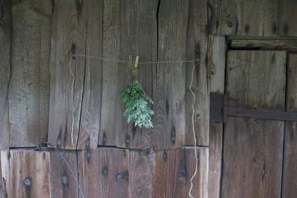 Bir demet taze mugwort (Artemisia absinthium, absinthe, absinthium, sagebrush, mugwort). İlaç fabrikası.