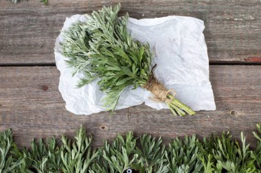 Bir demet taze mugwort (Artemisia absinthium, absinthe, absinthium, sagebrush). İlaç fabrikası. Bitkisel ilaçlarda vücudun stresin zararlı etkilerine karşı direnç göstermesi ve normale dönmesi için kullanılır.