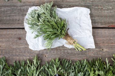 Bunch of fresh mugwort (Artemisia absinthium, absinthe, absinthium, sagebrush). Medicinal plant. Used in herbal medicine to help the body resist the damaging effect of stress and restore normal clipart