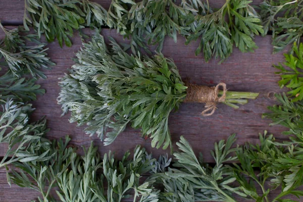 Egy Rakás Friss Mugwort Artemisia Absinthium Absinthe Absinthium Sagebrush Gyógynövény — Stock Fotó