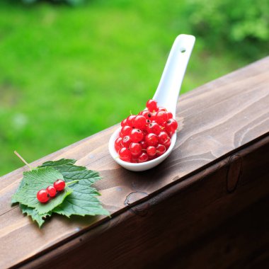 Tahta bir masada mevsimlik üzümlü üzümler. Taze yaz meyveleri, sağlıklı beslenme veya meyve yetiştirme kavramı