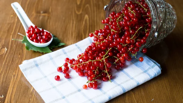 Ripe Red Currant Beautiful Glass Vase Table Health Benefits Redcurrant — Stock Photo, Image