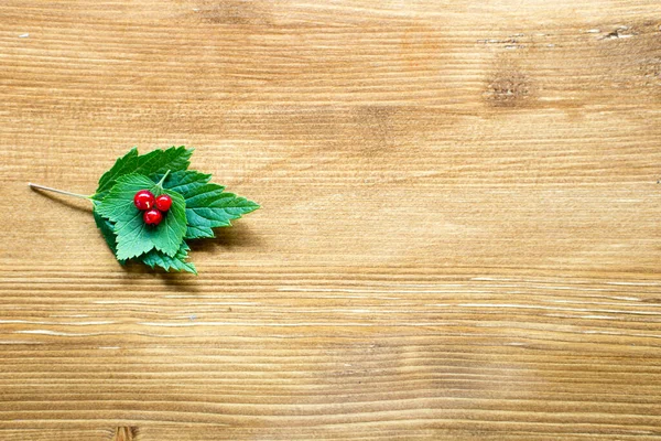 Ahşap arka plan, üzümlü yapraklar, birkaç kırmızı frenk üzümü. Minimalizm