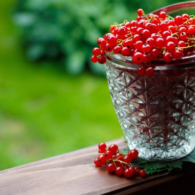 Masadaki güzel cam vazoda olgun kırmızı frenk üzümü. Frenk üzümünün Sağlık Yararları