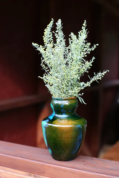 Bukett Med Blommande Malört Selektivt Fokus Absinthe Semester — Stockfoto