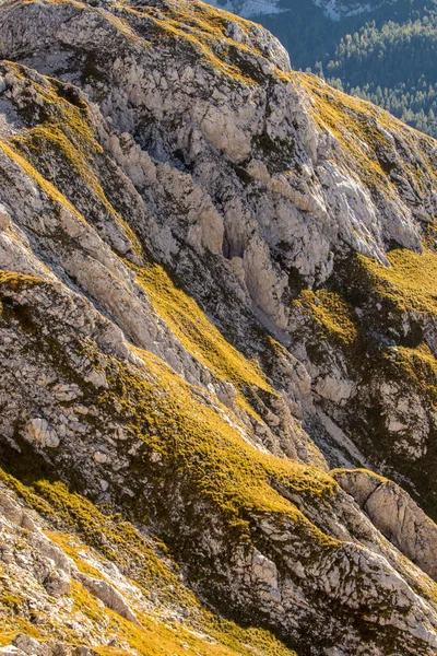 Sluncem Zalité Žlutá Tráva Strmém Svahu — Stock fotografie