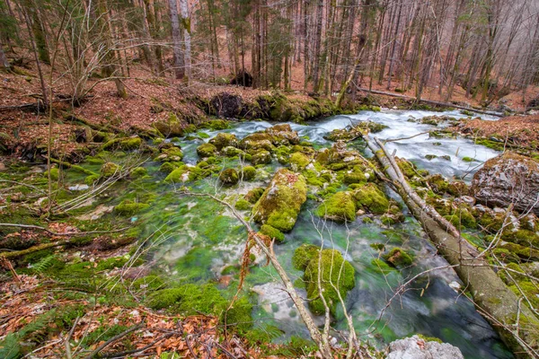 Wasser Kommt Aus Dem Untergrund — Stockfoto