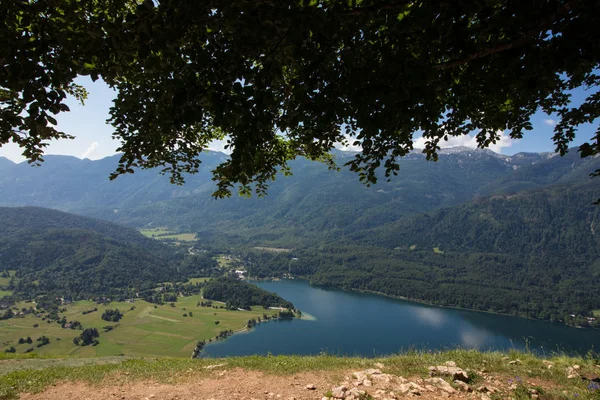 Lac Bohinj Jeter Des Feuilles Mont Vogar — Photo