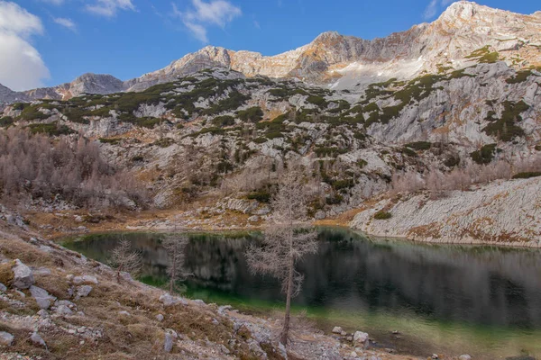 Hermoso Lago Verde Las Montañas —  Fotos de Stock